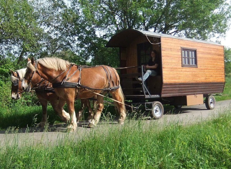 Vacances à cheval en roulotte itinérante